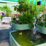 Troubleshooting Your Aquaponics System