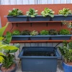 Troubleshooting Your Aquaponics System